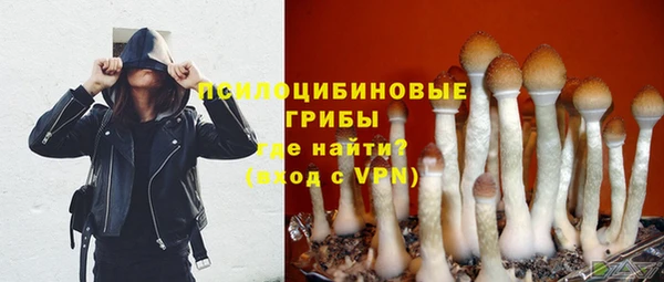 таблы Арсеньев