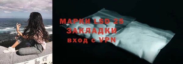 эйфоретик Аркадак